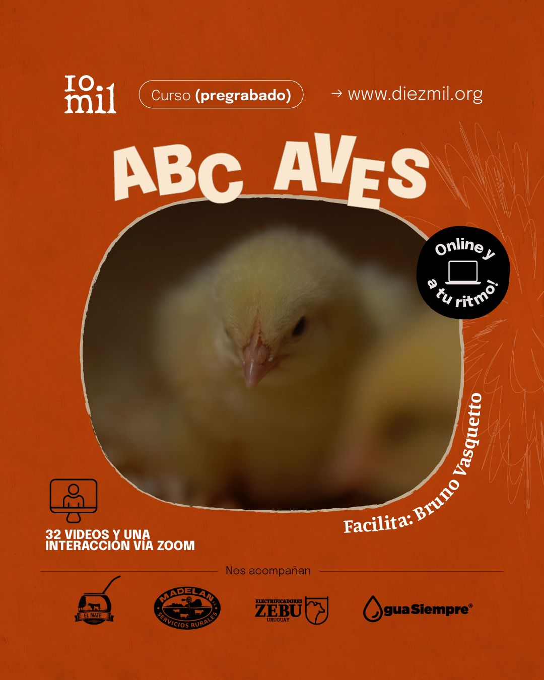 Curso: ABC Aves