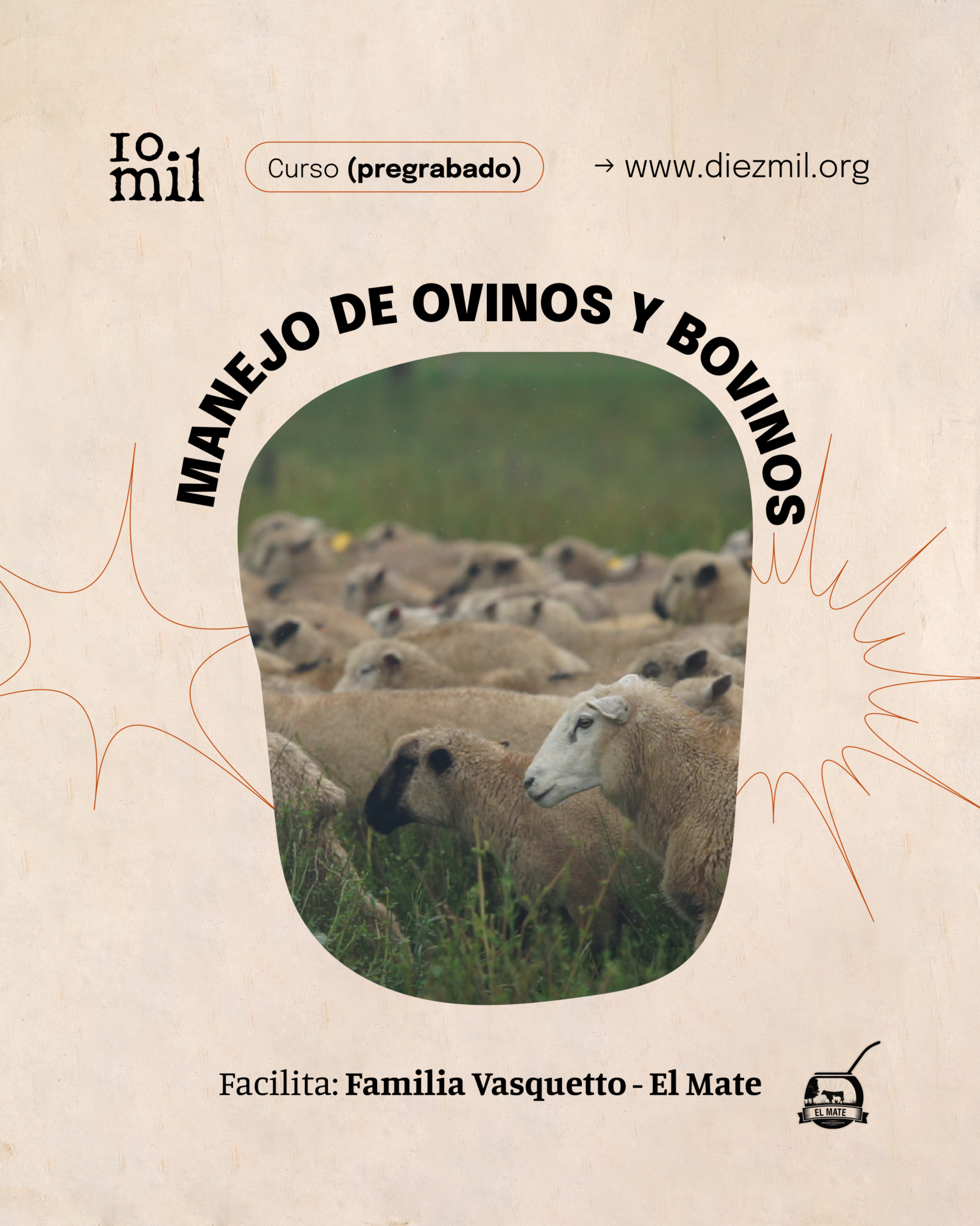 Curso: Manejo de Bovinos y Rumiantes