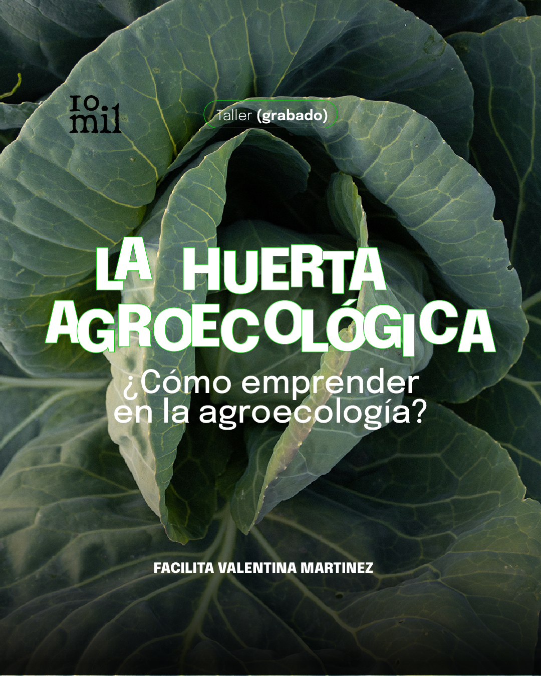 Taller: La Huerta Agroecológica