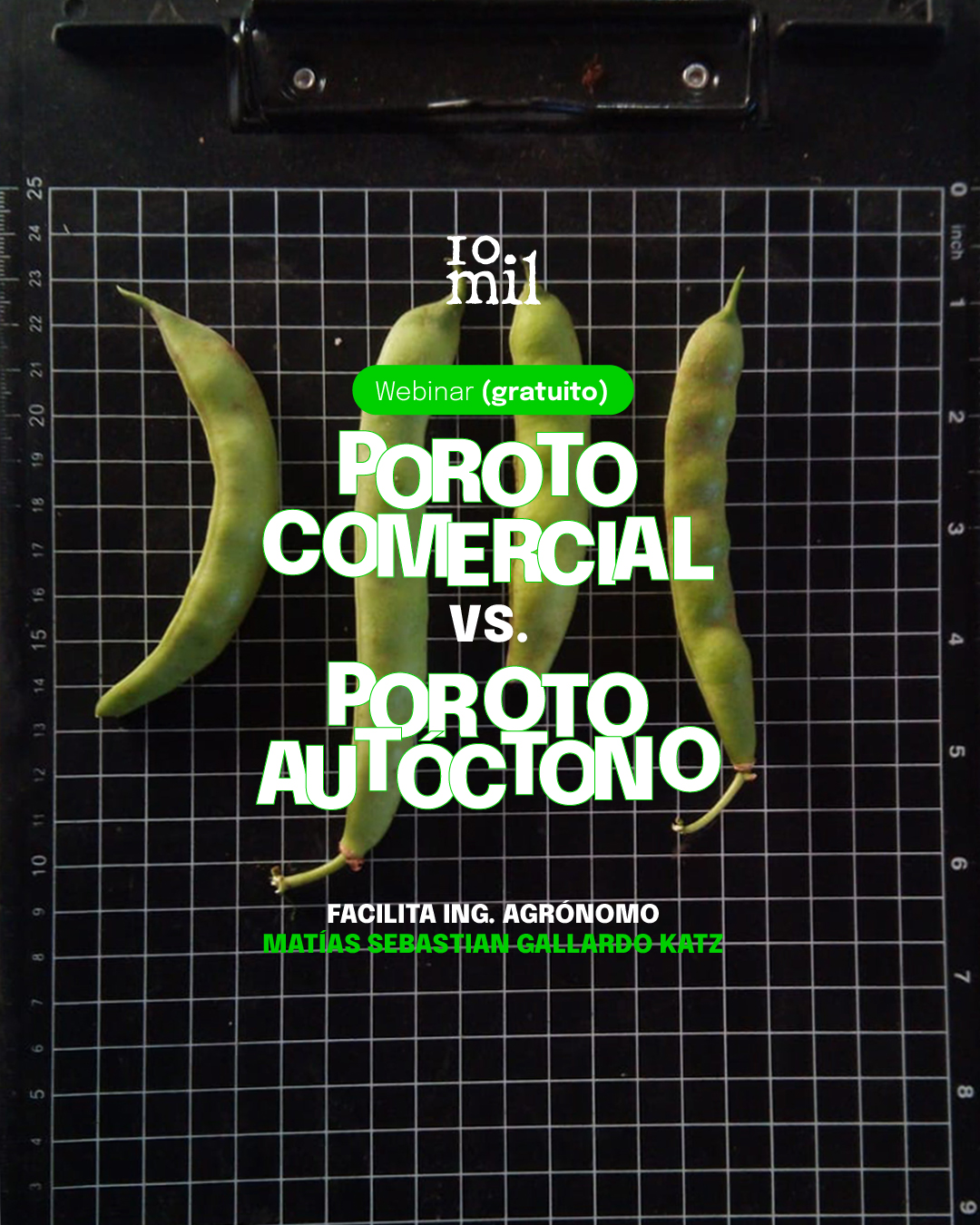 Webinario: Porotos comercial Vs. Poroto autóctono – Comparación de comportamiento